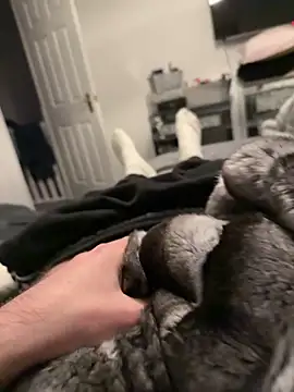 Furdale online show from 12-17-25, 04:12