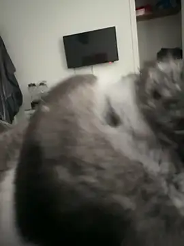 Furdale online show from 09-18-25, 04:32