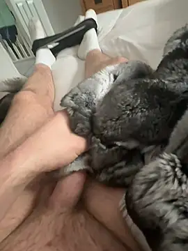 Furdale online show from 04-15-26, 10:10