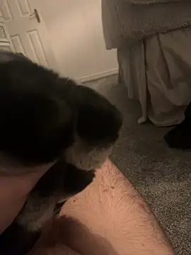 Furdale online show from 01-06-25, 05:06