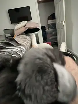 Furdale online show from 10-17-25, 01:57