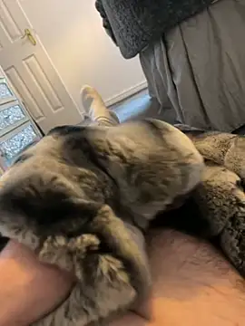 Furdale online show from 01-03-25, 01:57