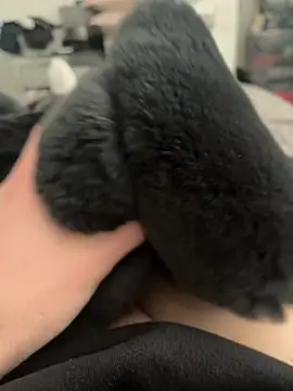 Furdale online show from 02-28-25, 11:36