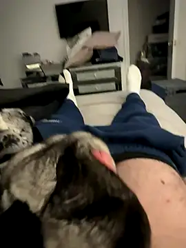 Furdale online show from 12-05-25, 02:26