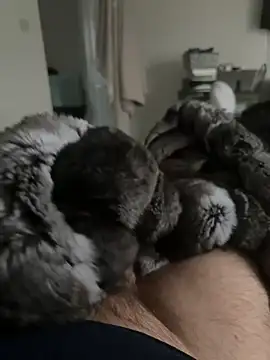 Furdale online show from 02-24-26, 04:52