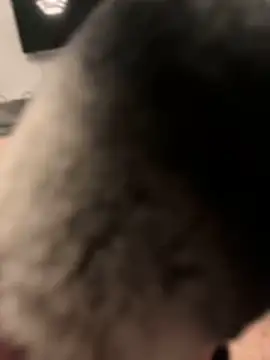 Furdale online show from 01-31-25, 07:08