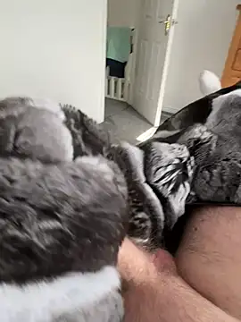 Furdale online show from 03-22-26, 02:18