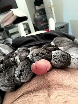 Furdale online show from 09-25-25, 04:57