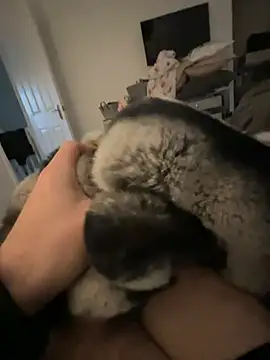 Furdale online show from 01-24-25, 02:41