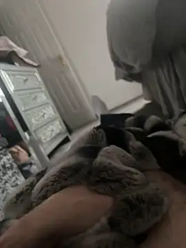 Furdale online show from 01-07-25, 02:08