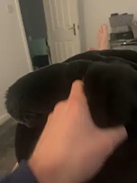 Furdale online show from 03-05-25, 03:29