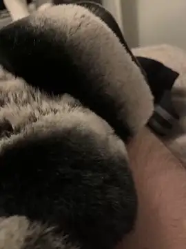 Furdale online show from 01-10-25, 05:02