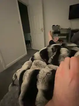 Furdale online show from 02-05-25, 07:20