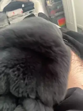 Furdale online show from 03-14-25, 11:12