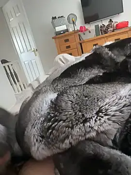 Furdale online show from 04-18-26, 10:28