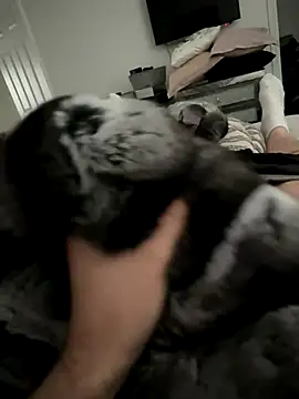 Furdale online show from 10-14-25, 03:01