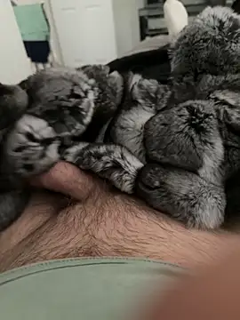 Furdale online show from 09-22-25, 04:13