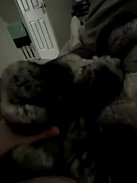 Furdale online show from 11-27-25, 01:55