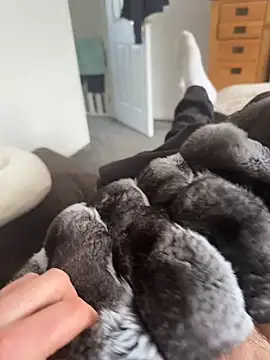 Furdale online show from 04-07-26, 01:35