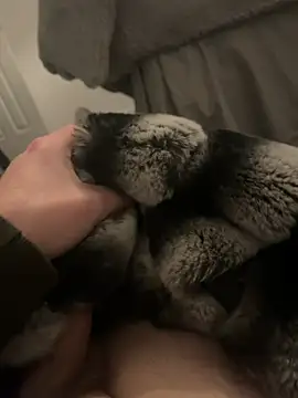 Furdale online show from 01-07-25, 05:20