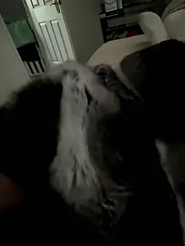 Furdale online show from 01-15-26, 03:48