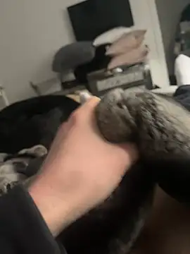 Furdale online show from 02-16-25, 02:32