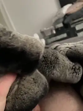 Furdale online show from 02-10-25, 01:55