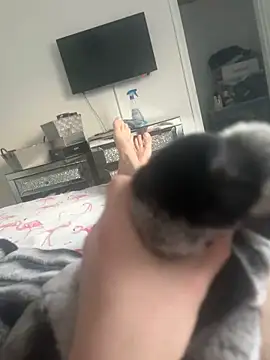 Furdale online show from 01-30-25, 03:19