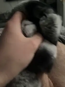 Furdale online show from 02-03-25, 03:06