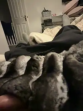 Furdale online show from 02-06-26, 06:48