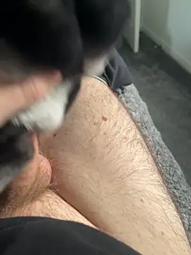 Furdale online show from 01-16-25, 02:08