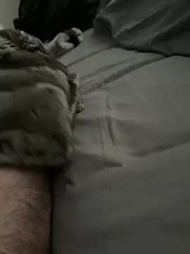 Furdale online show from 03-23-26, 02:39