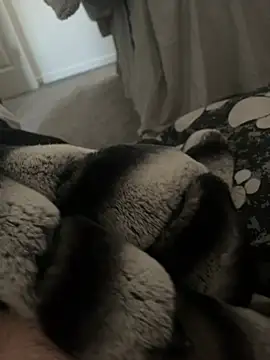 Furdale online show from 01-09-25, 11:14