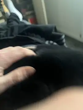 Furdale online show from 03-11-25, 05:35