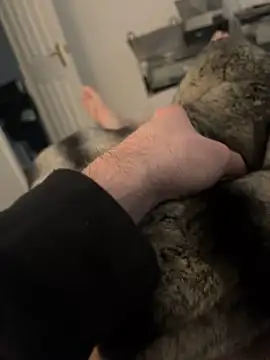 Furdale online show from 02-17-25, 03:11