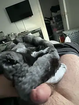 Furdale online show from 09-19-25, 05:17