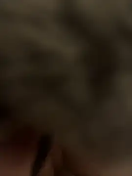 Furdale online show from 01-24-25, 06:04