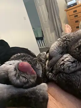 Furdale online show from 04-01-26, 02:25