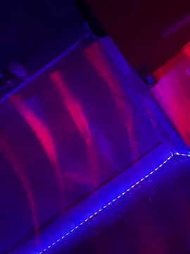 Sanieku online show from 04-13-26, 09:08