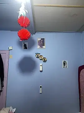 Sanieku online show from 03-24-26, 02:39