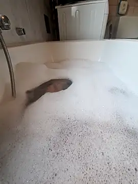 toeloverlive online show from 03-12-26, 08:07