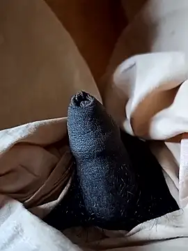 malluflash online show from 01-12-26, 08:54