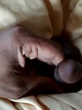 malluflash online show from 01-10-26, 09:04