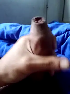 rodovlaz online show from 04-02-26, 11:06