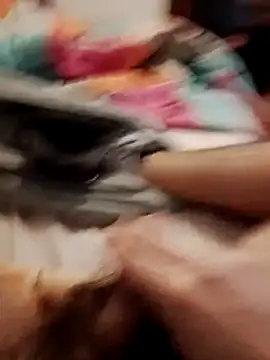 Snapshot of jon763 chatting on 02-19-26, 09:17 jon763 online show from 02-19-26, 09:17