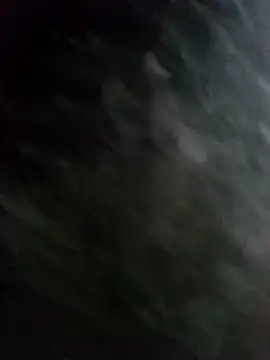 22orlando online show from 11-19-25, 05:24