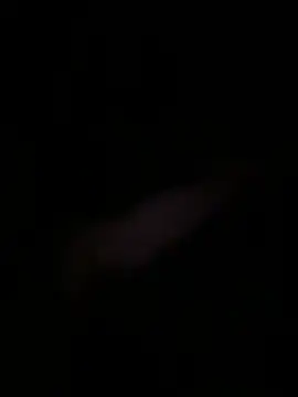 Dannadcz online show from 04-12-26, 06:22