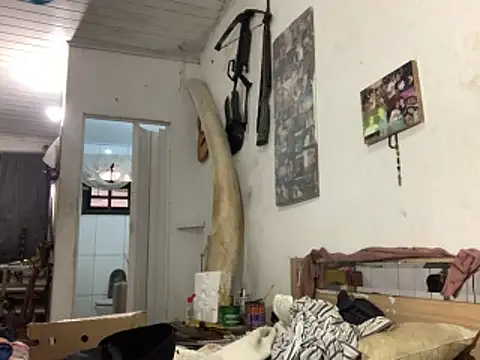 raphadoors19 online show from 11-23-25, 07:57