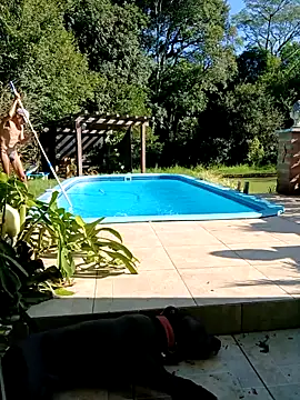 dutra498 online show from 03-02-26, 07:32