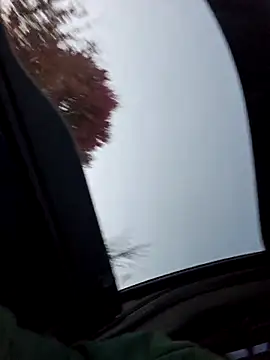 Snapshot of Diablo9804 chatting on 10-16-25, 11:51 Diablo9804 online show from 10-16-25, 11:51